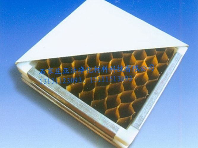 紙蜂窩凈化板